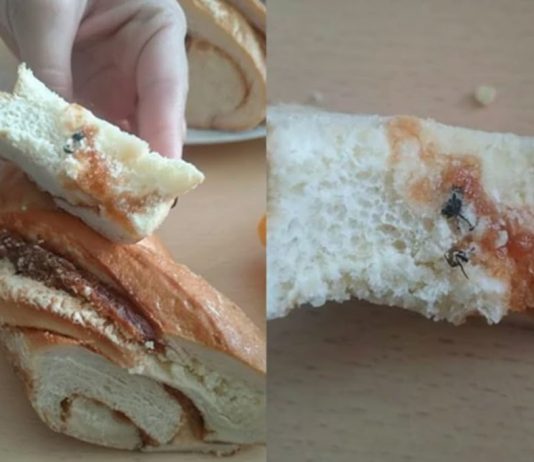 Jedan zalogaj koji je sve promijenio: Pauza za ručak koju neće zaboraviti