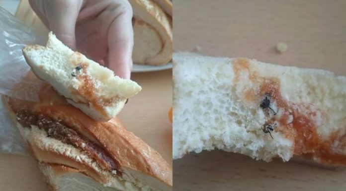 Jedan zalogaj koji je sve promijenio: Pauza za ručak koju neće zaboraviti