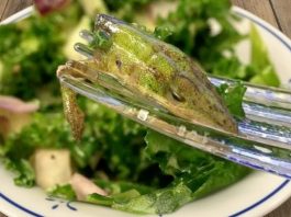 “Nesrećna Salata: Žena je Došla na Lagan Obrok, a Našla Nešto Šokantno”