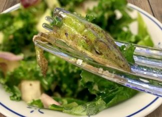 “Nesrećna Salata: Žena je Došla na Lagan Obrok, a Našla Nešto Šokantno”