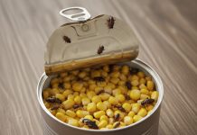 Konzerva kukuruza s nepozvanim gostima: Prava horor priča iz kuhinje.