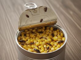 Konzerva kukuruza s nepozvanim gostima: Prava horor priča iz kuhinje.