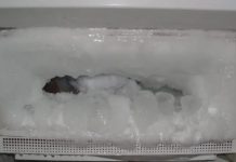 Ako vam se u frižideru gomila led, ubacite samo jednu namirnicu i problem će biti RIJEŠEN