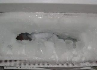 Ako vam se u frižideru gomila led, ubacite samo jednu namirnicu i problem će biti RIJEŠEN