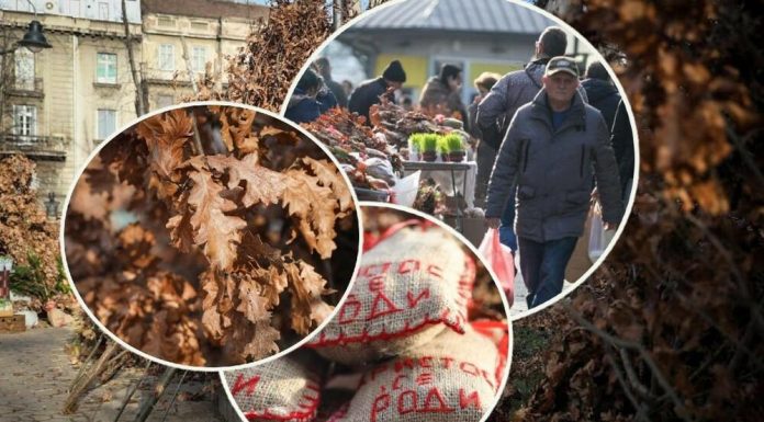 DANAS JE BADNJI DAN, OVE OBIČAJE NIKAKO NE VALJA KRŠITI! Spisak je DUGAČAK, NA VELIKI PRAZNIK ne smete da…