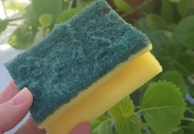 Nikada ne bacajte stari sunđer: Kada vidite čemu služi čuvat ćete ga kao oči u glavi