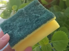 Nikada ne bacajte stari sunđer: Kada vidite čemu služi čuvat ćete ga kao oči u glavi