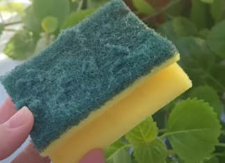 Nikada ne bacajte stari sunđer: Kada vidite čemu služi čuvat ćete ga kao oči u glavi