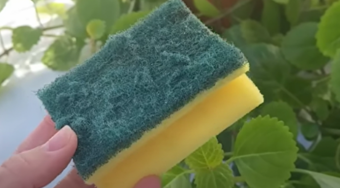 Nikada ne bacajte stari sunđer: Kada vidite čemu služi čuvat ćete ga kao oči u glavi