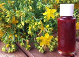 KANTARIONOVO ULJE JE PRAVI LIJEK: Šest problema koje rješava kao od šale