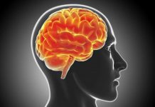 10 navika koje nam uništavaju mozak: Ovo garantovano dovodi do demencije