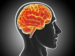 10 navika koje nam uništavaju mozak: Ovo garantovano dovodi do demencije