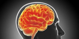 10 navika koje nam uništavaju mozak: Ovo garantovano dovodi do demencije