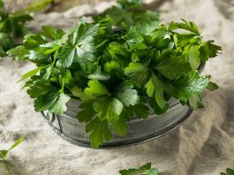 PERŠUN – Tajna kuhara kako da traje mjesecima: Više ne trune