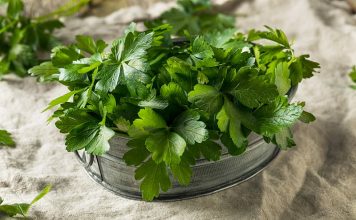 PERŠUN – Tajna kuhara kako da traje mjesecima: Više ne trune