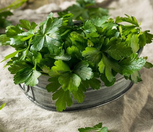 PERŠUN – Tajna kuhara kako da traje mjesecima: Više ne trune