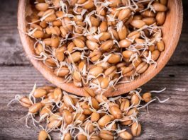 ČUVAJTE OVAJ RECEPT: POMAŽE U LIJEČENJU TEŠKIH OBOLJENJA DOJKE I PROSTATE