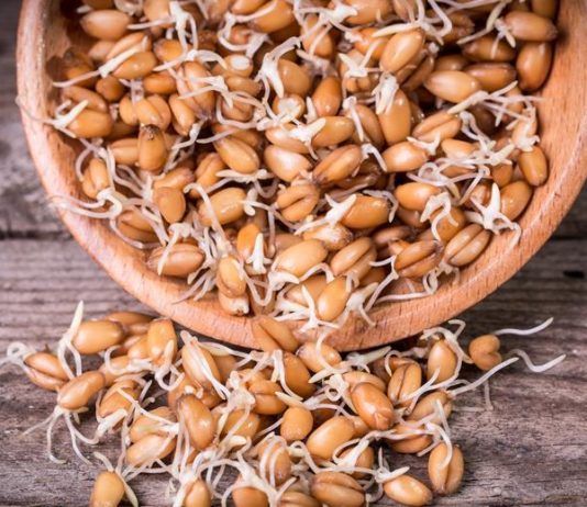 ČUVAJTE OVAJ RECEPT: POMAŽE U LIJEČENJU TEŠKIH OBOLJENJA DOJKE I PROSTATE