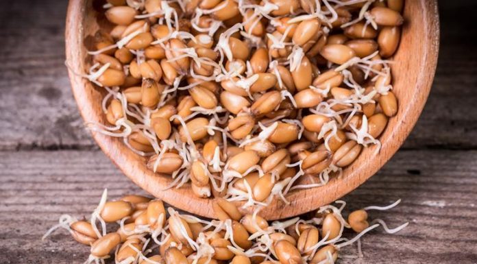 ČUVAJTE OVAJ RECEPT: POMAŽE U LIJEČENJU TEŠKIH OBOLJENJA DOJKE I PROSTATE