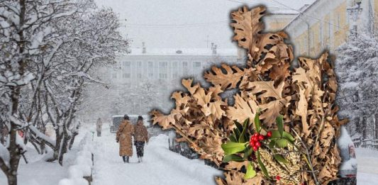 Kada se po pravilu ide po badnjak? Domaćin pre seče obavezan da uradi jednu stvar, a evo šta crkva kaže za položajnika