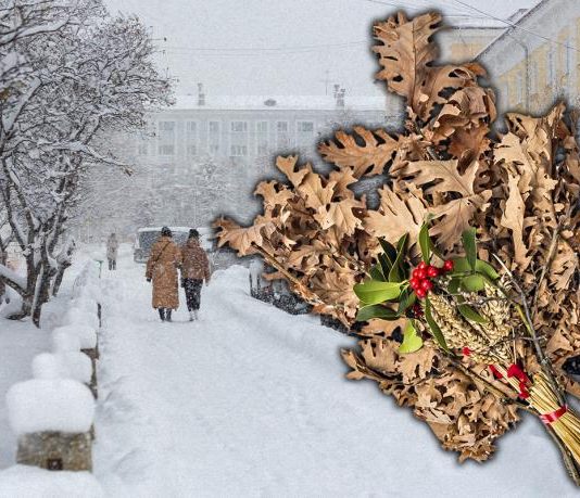 Kada se po pravilu ide po badnjak? Domaćin pre seče obavezan da uradi jednu stvar, a evo šta crkva kaže za položajnika