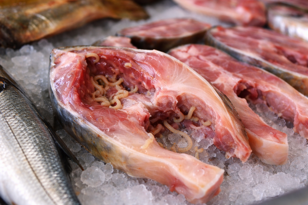 2ba1ab13-64c0-480b-9e69-97c786c1c31c