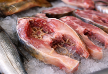 Kupio Zamrznutu Ribu, A U Njoj Našao Crve: Šokantno Iskustvo Kupca…