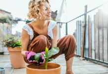 3 super lake sobne biljke za početnike: Oprostiće vam ako zaboravite da ih zalijete, gotovo ih je nemoguće “ubiti”