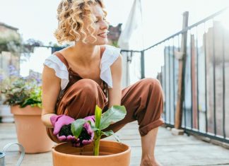 3 super lake sobne biljke za početnike: Oprostiće vam ako zaboravite da ih zalijete, gotovo ih je nemoguće “ubiti”