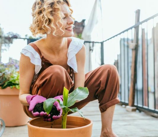 3 super lake sobne biljke za početnike: Oprostiće vam ako zaboravite da ih zalijete, gotovo ih je nemoguće “ubiti”