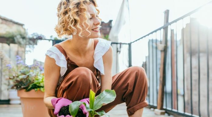3 super lake sobne biljke za početnike: Oprostiće vam ako zaboravite da ih zalijete, gotovo ih je nemoguće “ubiti”