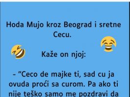 VIC: Mujo sretne Cecu
