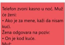 VIC DANA: ŽENA I POZIV
