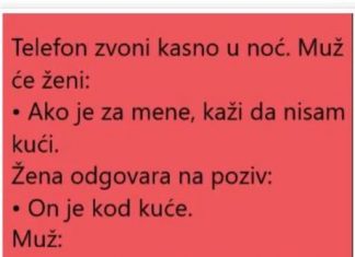 VIC DANA: ŽENA I POZIV