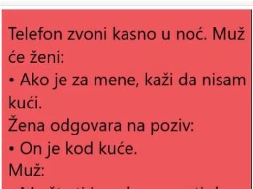 VIC DANA: ŽENA I POZIV