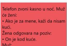 VIC DANA: ŽENA I POZIV