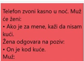 VIC DANA: ŽENA I POZIV