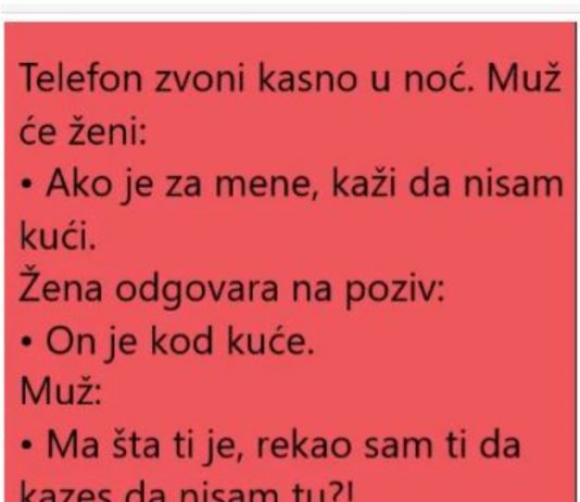 VIC DANA: ŽENA I POZIV