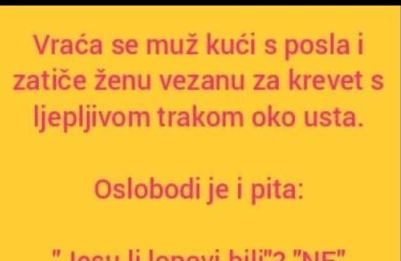 Vic dana: ne svađaj se sa molerima