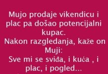 VIC DANA: PRODAJA VIKENDICE