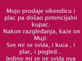 VIC DANA: PRODAJA VIKENDICE