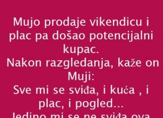 VIC DANA: PRODAJA VIKENDICE