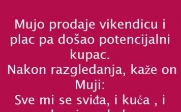 VIC DANA: PRODAJA VIKENDICE