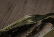 “Opasne su za mozak”: Neurolog otkrio koje četiri namirnice nikada ne jede