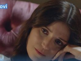 TEŠKO VAMA AKO S NJIMA BUDETE U NEVOLJI – BEŽE U ZAKLON NA PRVI ZNAK: Astrolozi otkrili KUKAVICE, poslednji je pobedio!