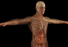 Refleksologija stopala – mapa organa na stopalu i njihovo značenje….