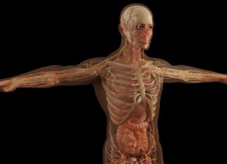 Refleksologija stopala – mapa organa na stopalu i njihovo značenje….