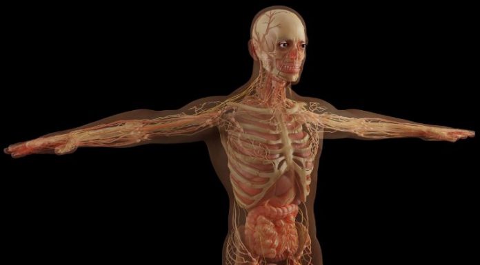 Refleksologija stopala – mapa organa na stopalu i njihovo značenje….