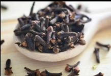 STAVILA JE KARANFILIĆ NA VRATA U KUĆI: PREKO NOĆI SE RIJEŠILA PROBLEMA KOJI JE PRISUTAN KOD MNOGIH!