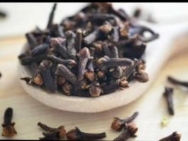 STAVILA JE KARANFILIĆ NA VRATA U KUĆI: PREKO NOĆI SE RIJEŠILA PROBLEMA KOJI JE PRISUTAN KOD MNOGIH!